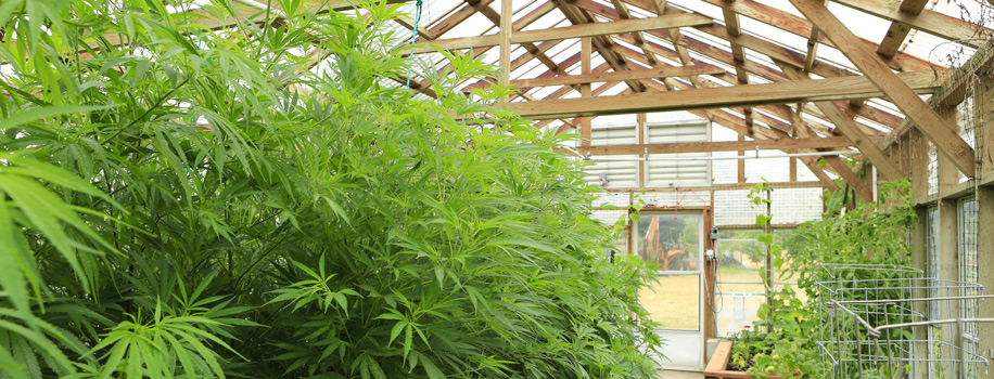 Security Solutions for Apartments in Evans, GA